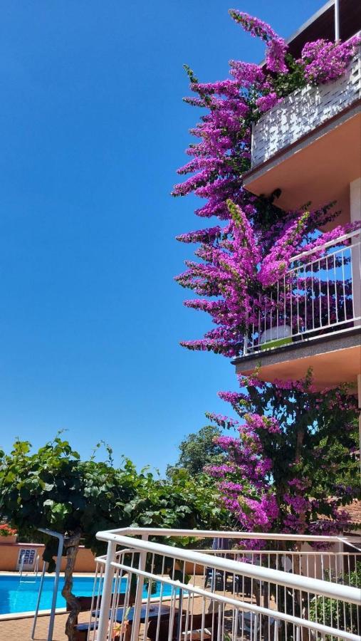 Stella Apartments Vinkuran Extérieur photo